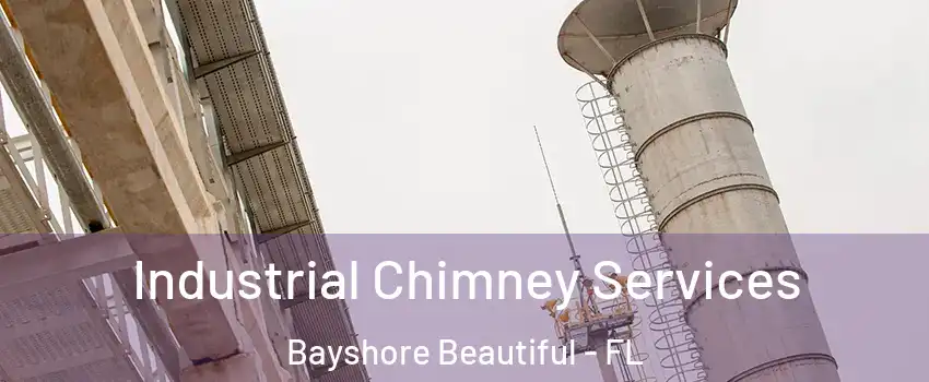 Industrial Chimney Services Bayshore Beautiful - FL