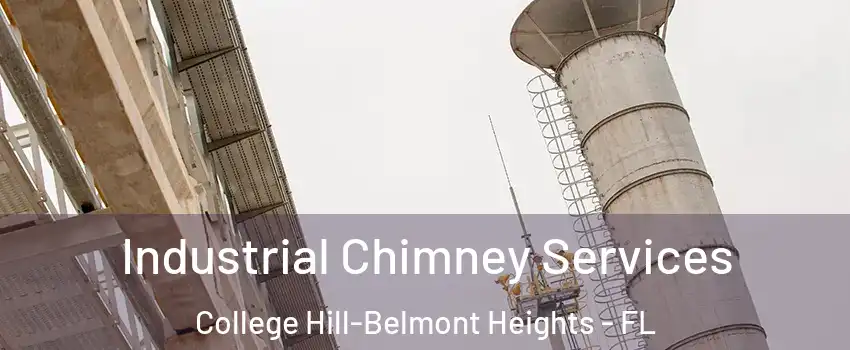 Industrial Chimney Services College Hill-Belmont Heights - FL