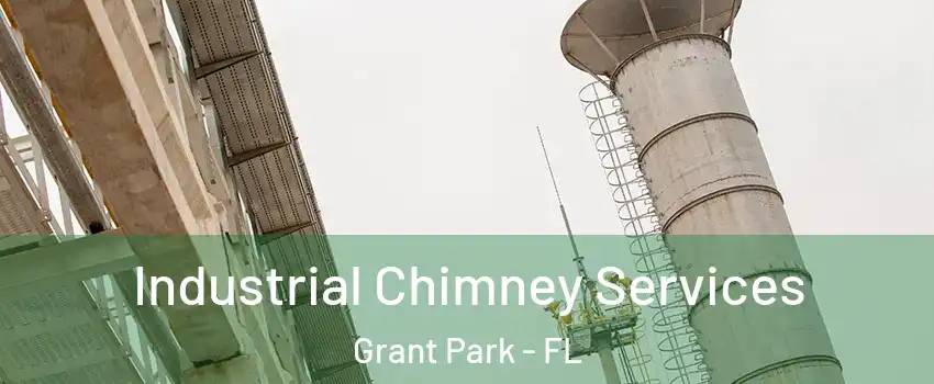 Industrial Chimney Services Grant Park - FL