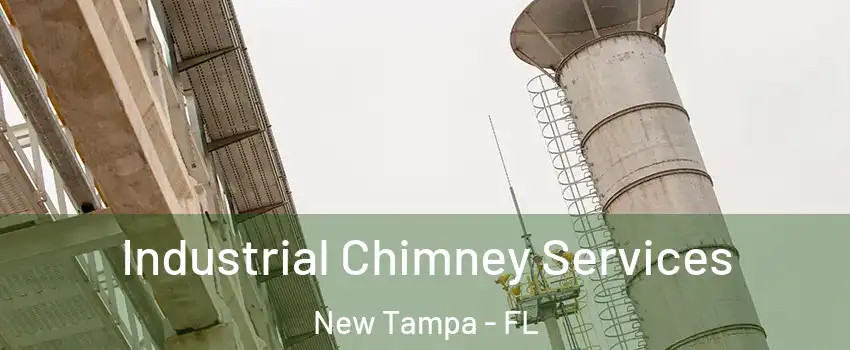 Industrial Chimney Services New Tampa - FL