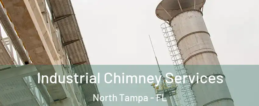 Industrial Chimney Services North Tampa - FL