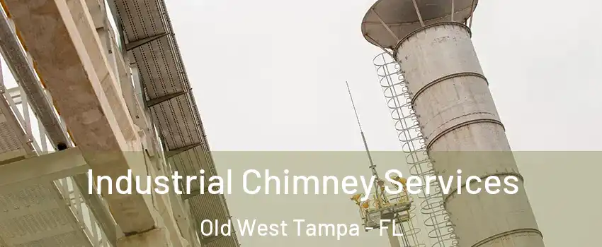 Industrial Chimney Services Old West Tampa - FL