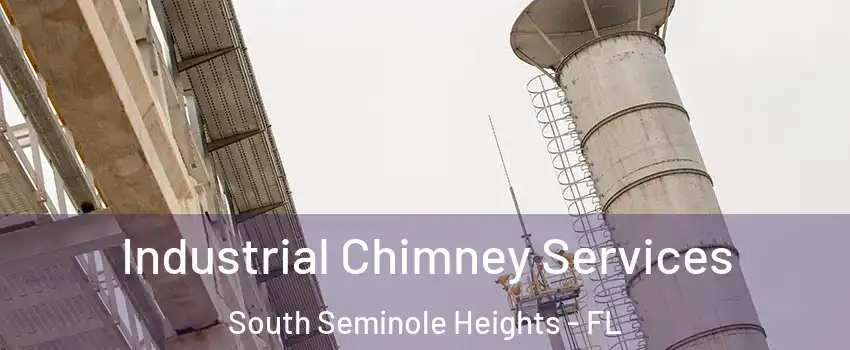Industrial Chimney Services South Seminole Heights - FL