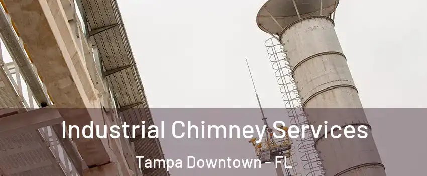 Industrial Chimney Services Tampa Downtown - FL