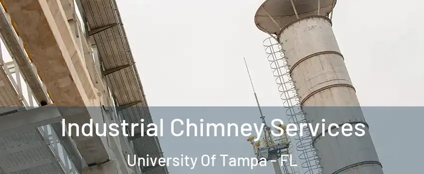 Industrial Chimney Services University Of Tampa - FL