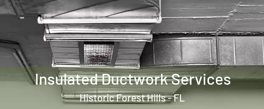 Insulated Ductwork Services Historic Forest Hills - FL