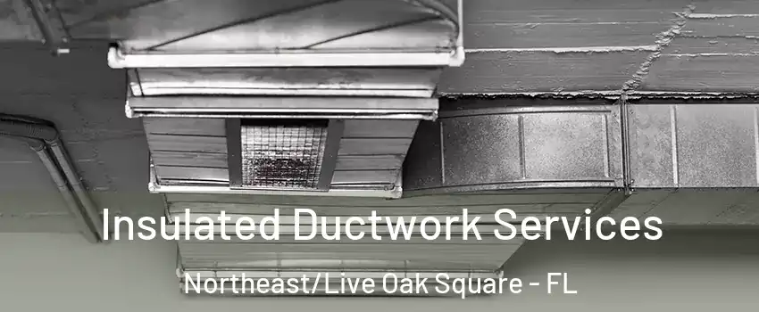 Insulated Ductwork Services Northeast/Live Oak Square - FL