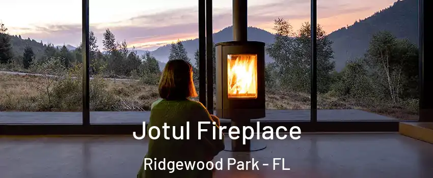 Jotul Fireplace Ridgewood Park - FL