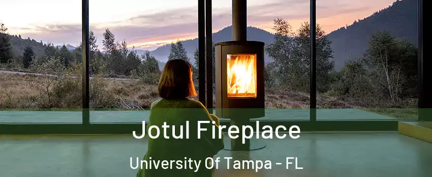 Jotul Fireplace University Of Tampa - FL