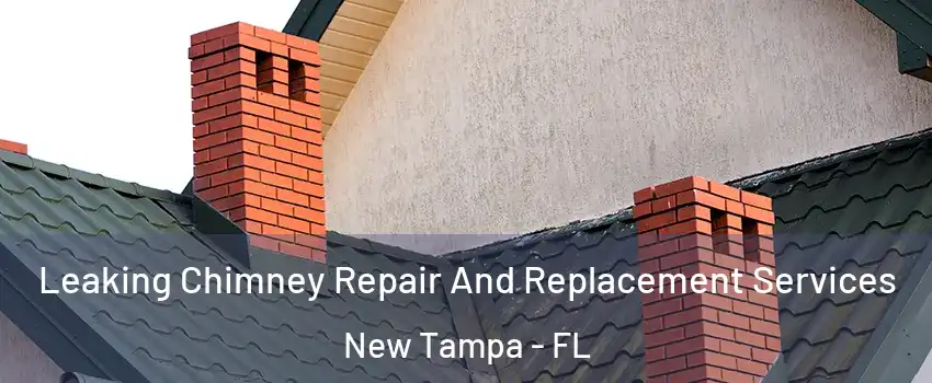 Leaking Chimney Repair And Replacement Services New Tampa - FL