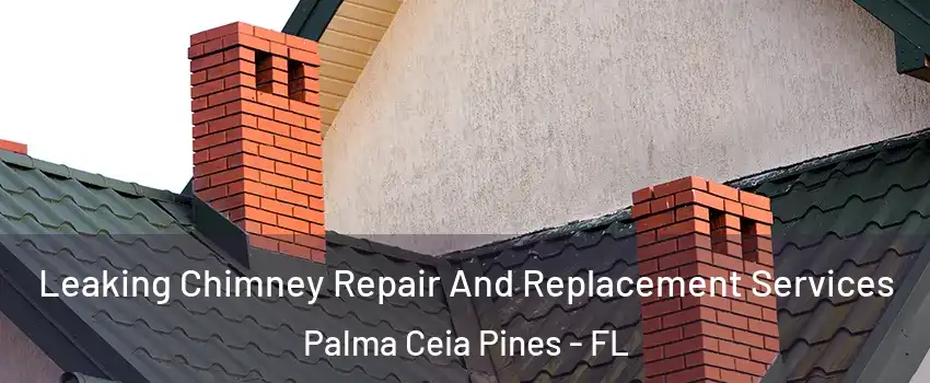 Leaking Chimney Repair And Replacement Services Palma Ceia Pines - FL