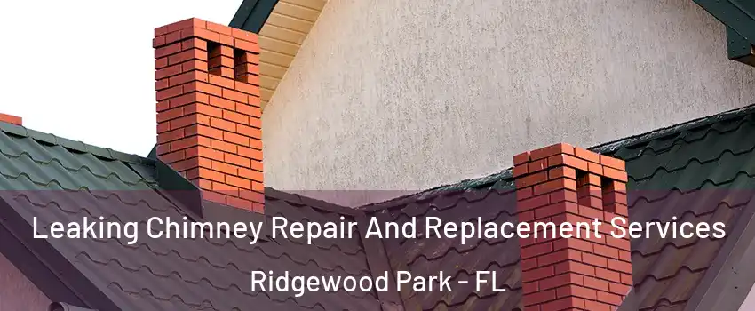 Leaking Chimney Repair And Replacement Services Ridgewood Park - FL