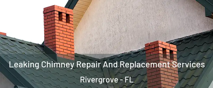 Leaking Chimney Repair And Replacement Services Rivergrove - FL