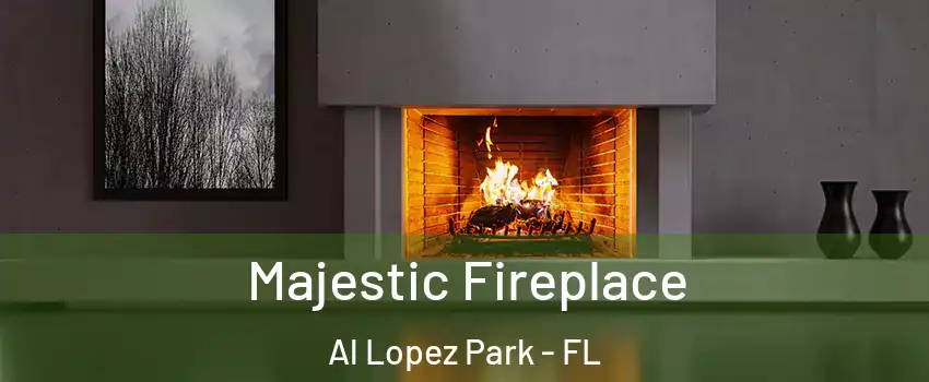 Majestic Fireplace Al Lopez Park - FL
