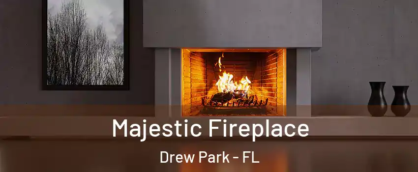 Majestic Fireplace Drew Park - FL