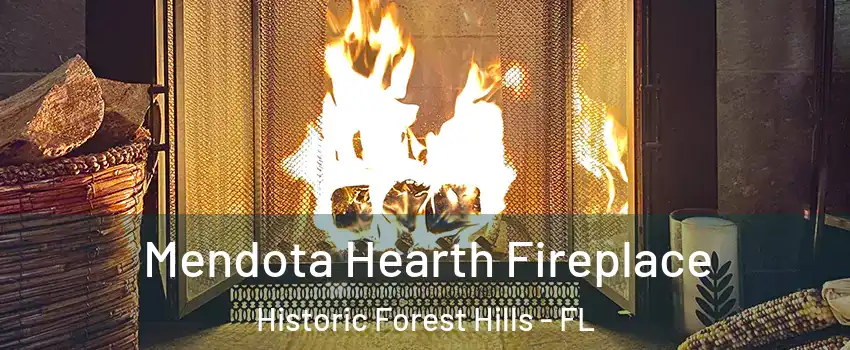 Mendota Hearth Fireplace Historic Forest Hills - FL