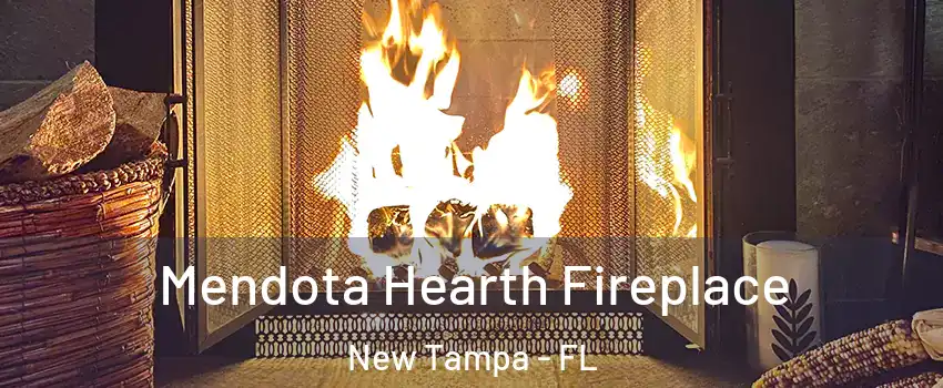 Mendota Hearth Fireplace New Tampa - FL