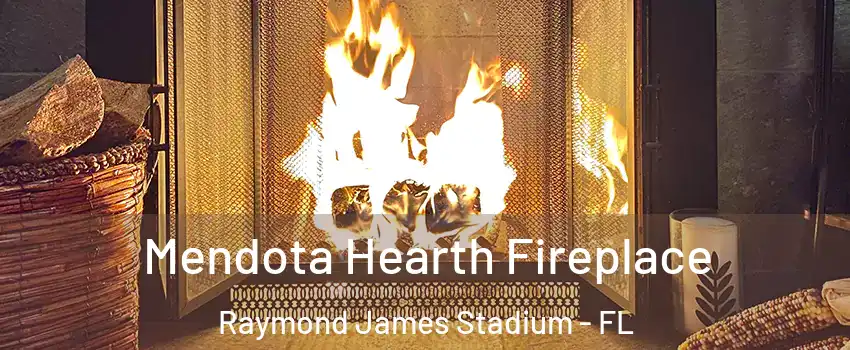 Mendota Hearth Fireplace Raymond James Stadium - FL