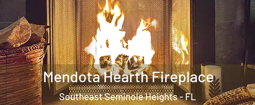 Mendota Hearth Fireplace Southeast Seminole Heights - FL