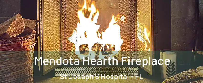 Mendota Hearth Fireplace St Joseph'S Hospital - FL