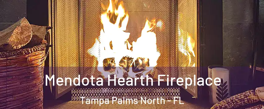 Mendota Hearth Fireplace Tampa Palms North - FL