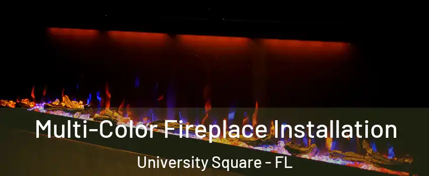 Multi-Color Fireplace Installation University Square - FL