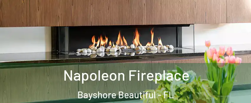Napoleon Fireplace Bayshore Beautiful - FL