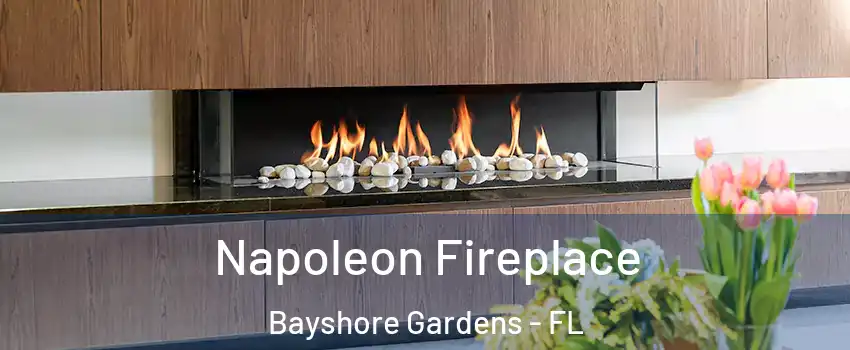 Napoleon Fireplace Bayshore Gardens - FL