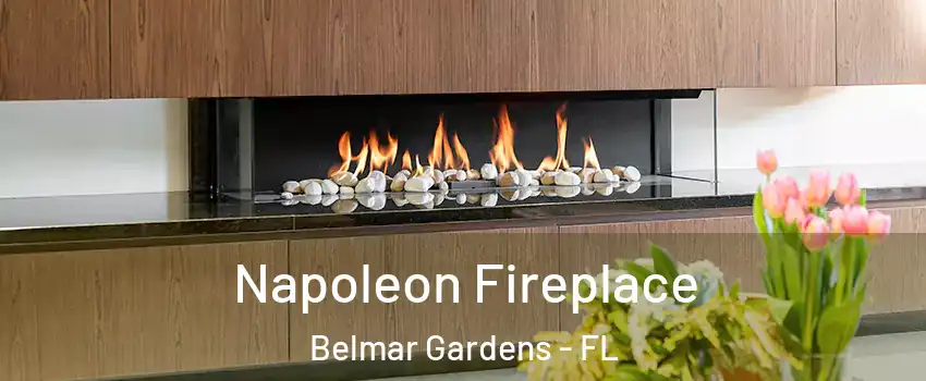 Napoleon Fireplace Belmar Gardens - FL