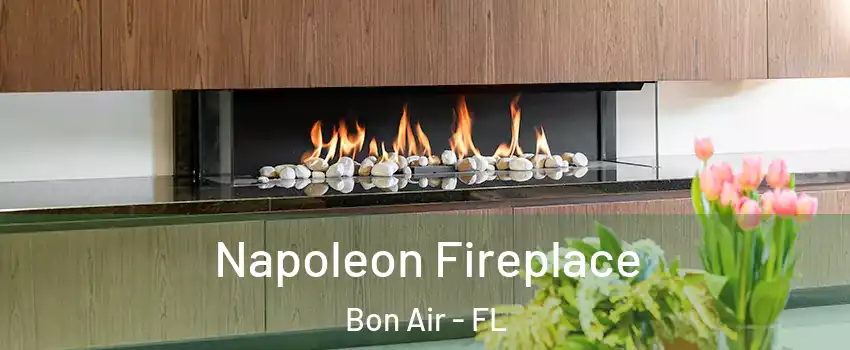 Napoleon Fireplace Bon Air - FL