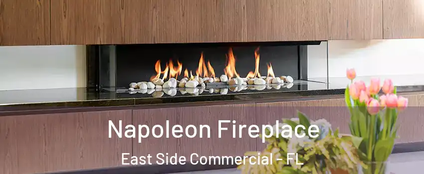 Napoleon Fireplace East Side Commercial - FL