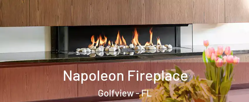 Napoleon Fireplace Golfview - FL