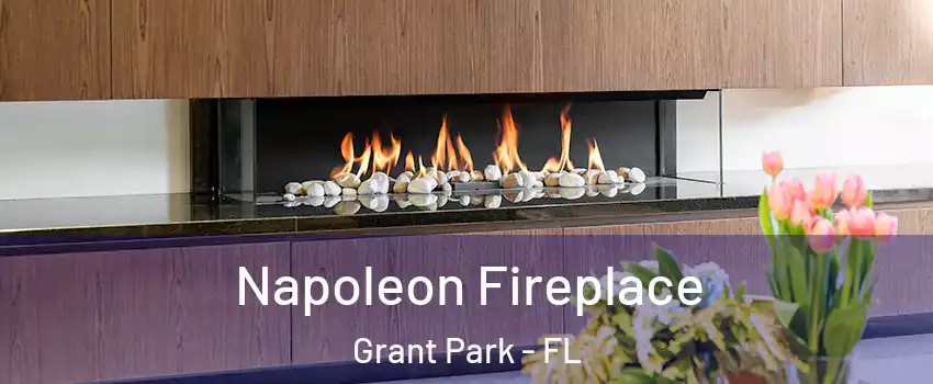 Napoleon Fireplace Grant Park - FL