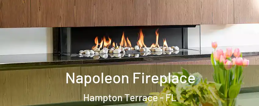 Napoleon Fireplace Hampton Terrace - FL