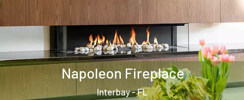 Napoleon Fireplace Interbay - FL