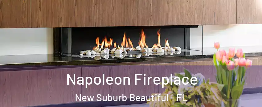 Napoleon Fireplace New Suburb Beautiful - FL