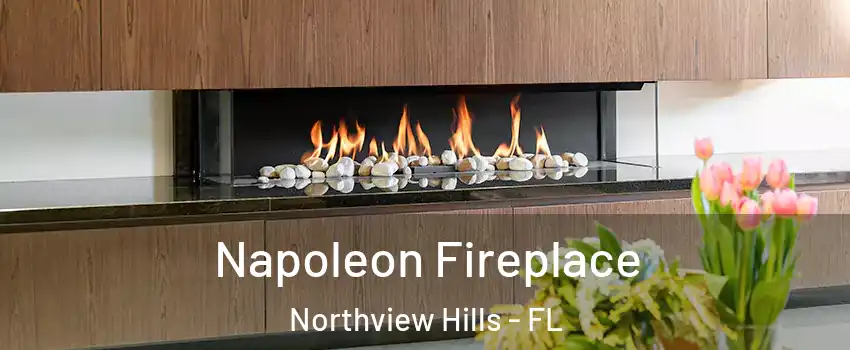 Napoleon Fireplace Northview Hills - FL