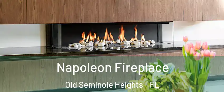 Napoleon Fireplace Old Seminole Heights - FL