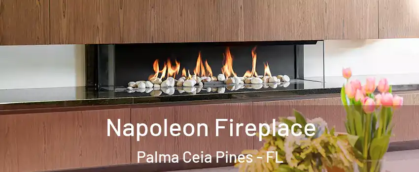 Napoleon Fireplace Palma Ceia Pines - FL