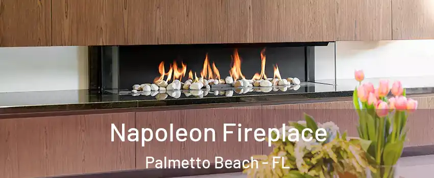 Napoleon Fireplace Palmetto Beach - FL