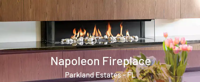 Napoleon Fireplace Parkland Estates - FL