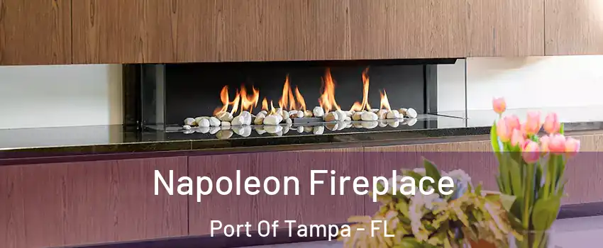 Napoleon Fireplace Port Of Tampa - FL