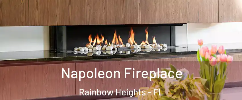 Napoleon Fireplace Rainbow Heights - FL