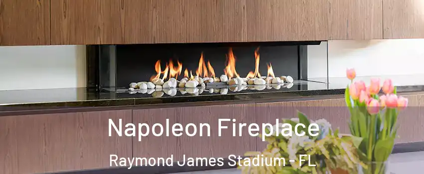 Napoleon Fireplace Raymond James Stadium - FL