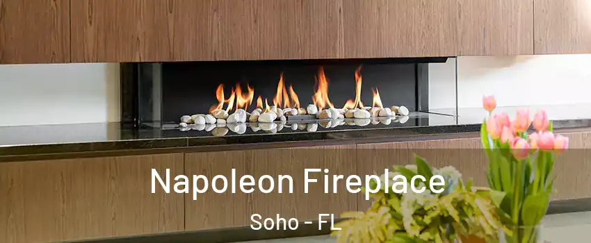 Napoleon Fireplace Soho - FL
