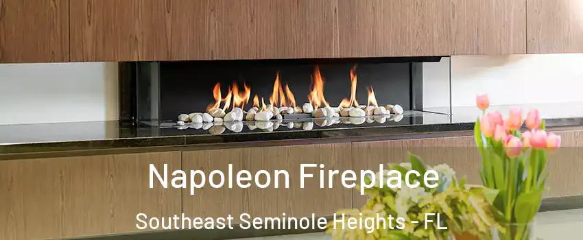 Napoleon Fireplace Southeast Seminole Heights - FL