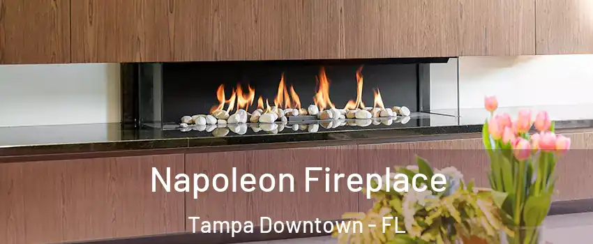 Napoleon Fireplace Tampa Downtown - FL