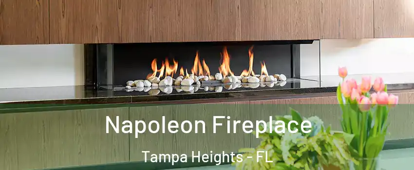 Napoleon Fireplace Tampa Heights - FL