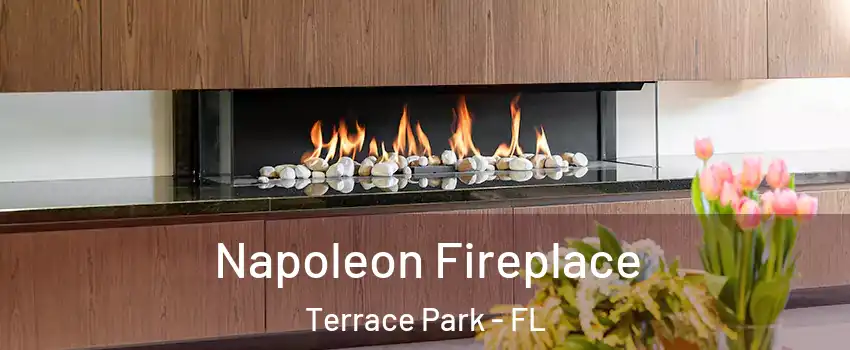 Napoleon Fireplace Terrace Park - FL