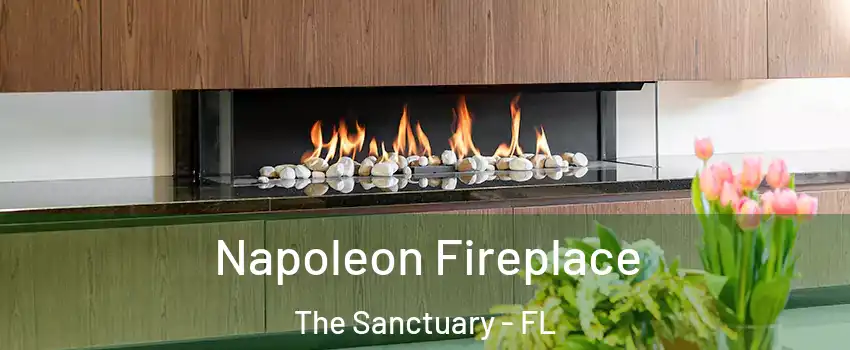 Napoleon Fireplace The Sanctuary - FL